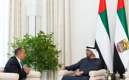 تفاصيل مباحثات وزير الخارجية مع رئيس دولة الإمارات في أبوظبي