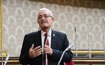 النائب عاطف مغاوري: أنهينا أكثر من 500 مادة بمشروع قانون الإجراءات الجنائية