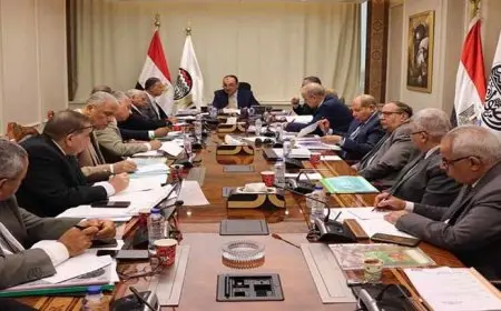 وزير قطاع الأعمال يتابع خطط عمل شركات “القابضة الكيماوية” ويناقش فرص الاستثمار