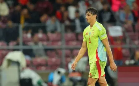 بطاقة حمراء مباشرة تُخرج لو نورمان من مباراة إسبانيا وسويسرا