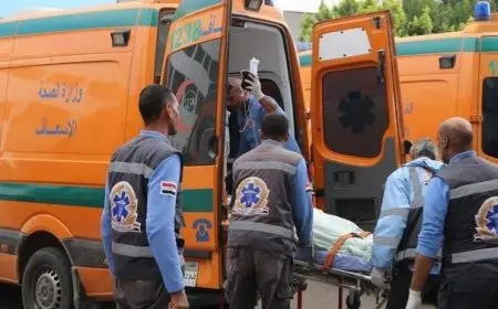 وزير الزراعة يقرر صرف مساعدات مالية عاجلة لأسر العمال ضحايا حادث البحيرة