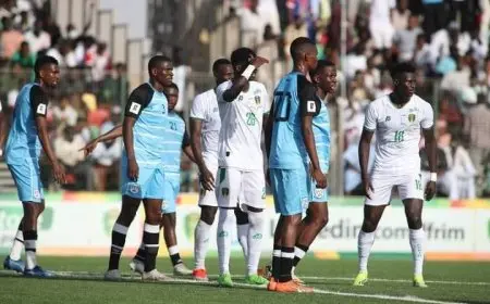 اتحاد بوتسوانا يطلب تأجيل مباراة مصر في تصفيات كأس أمم أفريقيا