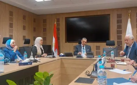 الضرائب تشكل لجنة مشتركة مع نقابة المهن التمثيلية لحل المشكلات الضريبية