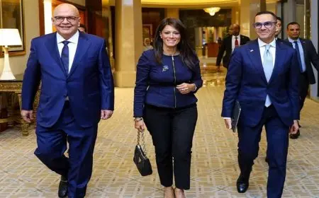 11 مليار دولار استثمارات وتمويلات الشركاء الدوليين للقطاع الخاص بمصر منذ 2020
