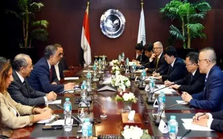 هيئة الاستثمار: تخصيص أراضي استثمارية للشركات الصينية في العلمين والمنيا الجديدة