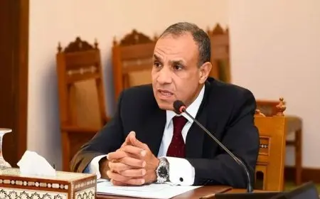 وزير الخارجية: عدد الضيوف على أرض مصر يفوق 10 ملايين.. وهناك حدود قصوى لا يمكن تجاوزها