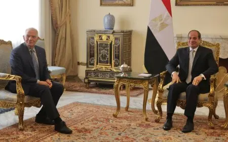 الرئيس السيسي يبحث مع الممثل الأعلى للاتحاد الأوروبي للشئون الخارجية تطورات الأوضاع بغزة