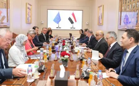 وزير العدل يبحث التعاون مع الاتحاد الأوروبي في مكافحة الجريمة المنظمة