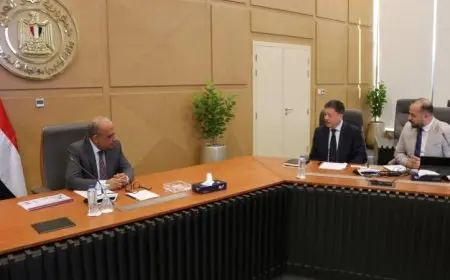 وزير الكهرباء يبحث مع الصينية CEE أوجه التعاون في مجالات التصنيع المحلي