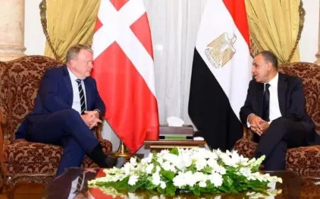 وزير الخارجية: الشركات الدنماركية ترغب في توسيع أعمالها واستثماراتها داخل مصر