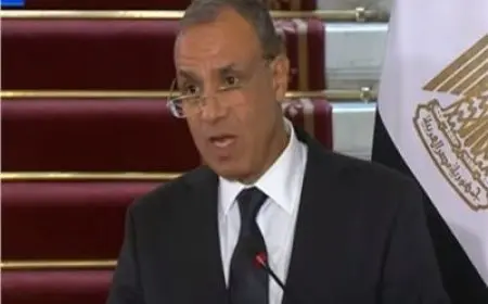 وزير الخارجية: مصر أكثر دولة في العالم تأثرا بالتوتر القائم في البحر الأحمر