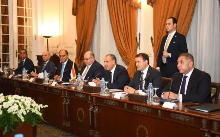 جلسة مباحثات رسمية بين وزير الخارجية ونظيره الدنماركي │ صور