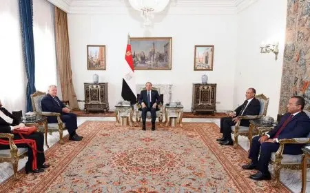 الرئيس السيسي يؤكد ضرورة تغليب مسار التهدئة والتوصل لاتفاق وقف إطلاق النار بغزة