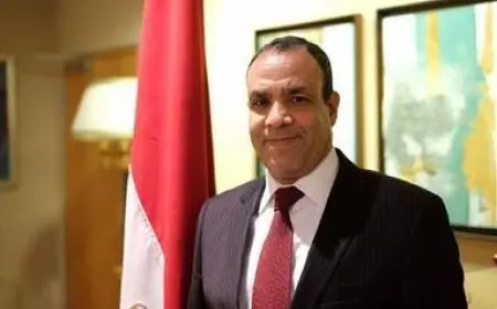 وزير الخارجية: مصر تحملت أعباء كثيرة في ملف الهجرة