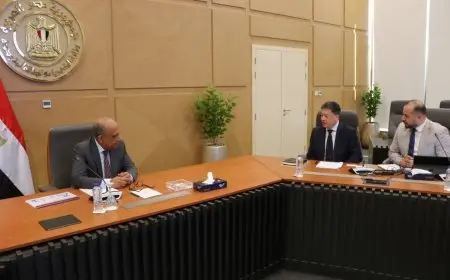 وزير الكهرباء يبحث مع شركة «CEE الصينية» التعاون في مجالات التصنيع المحلي