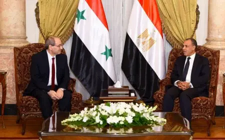 وزير الخارجية يؤكد لنظيره السوري موقف مصر الداعم لبلاده في مواجهة التحديات