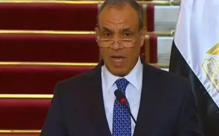 بدون دبلوماسية.. كيف رد وزير الخارجية على أسئلة الوفد الدنماركي بشأن الأنفاق