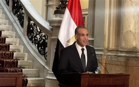 وزير الخارجية: مصر لا يمكنها تحمل أعباء الهجرة غير الشرعية إلى ما لا نهاية.. ونحتاج مزيدا من الدعم
