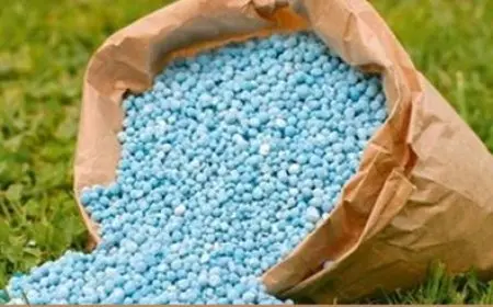 وزير الزراعة: نقدم السماد المدعم بـ 500 جنيه وسعره عالميا 20 ألفا.. وأي تعديات سيتم إزالتها