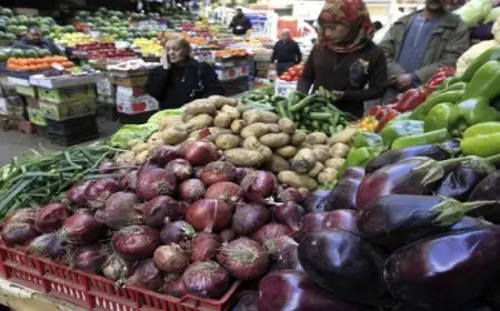 التعبئة والإحصاء: معدل التضخم الشهري يسجل 1.9% في شهر أغسطس الماضي