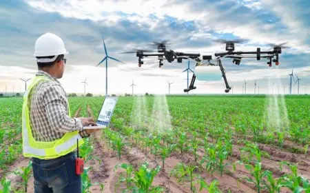 نقيب الفلاحين: المزارع أصبح مليونيرًا من أصحاب الأملاك بعدما كان فقيرًا ذليلاً