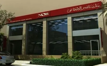بنك ناصر: إضافة البنك ضمن قائمة المؤسسات المسموح بمساهمتها في رأسمال الشركات يعزز من إعادة هيكلته