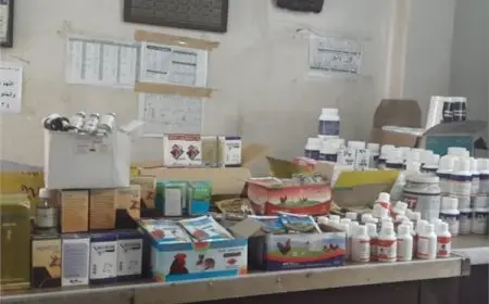 محافظة الجيزة تطلق 36 قافلة بيطرية مجانية شاملة لدعم مربي المواشي