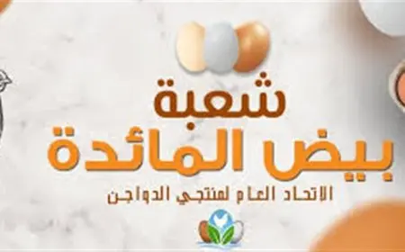 بعد اتهامات “حماية المنافسة”.. شعبة البيض: لم يصلنا أي إخطار حتى الآن