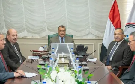 وزير الإنتاج الحربي يجتمع برؤساء مجالس إدارة شركتين من الشركات التابعة