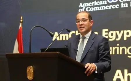 وزير المالية: إعلان حزمة شاملة ومتكاملة من التسهيلات الضريبية خلال ساعات