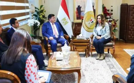 وزيرة التنمية المحلية تبحث مع وفد مؤسسة رجال الأعمال المصريين الصينيين سبل تعزيز التعاون المشترك