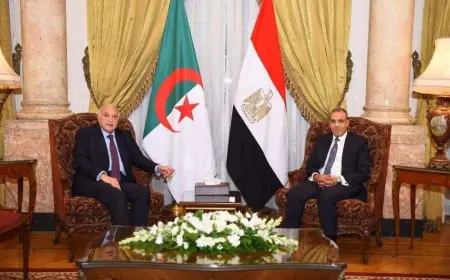 عبد العاطي يلتقي نظيره الجزائري على هامش مشاركتهما في الاجتماع الوزاري لمجلس جامعة الدول العربية