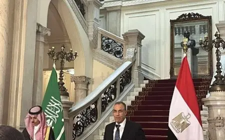 وزير الخارجية: نحن في المراحل النهائية لتدشين مجلس التنسيق الأعلى المصري السعودي