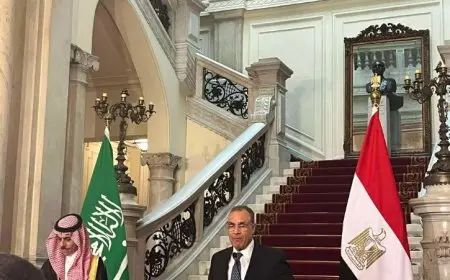 وزير الخارجية: آلية التشاور السياسي مع السعودية منبر أساسي لتبادل الرؤى