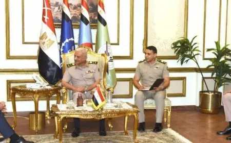 وزير الدفاع يلتقى الممثل الأعلى للسياسة الخارجية والأمنية نائب رئيس المفوضية الأوروبية خلال زيارته إلى مصر