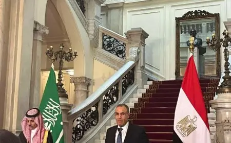 وزير الخارجية: نضع اللمسات الأخيرة لاتفاقية استثمارية غير مسبوقة مع السعودية