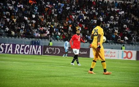 محمد صلاح يعمق جراح بوتسوانا بهدف ثالث لمنتخب مصر