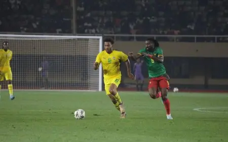 زيمبابوي تفرض التعادل على الكاميرون في تصفيات كأس أمم أفريقيا
