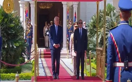 بث مباشر.. الرئيس السيسي يستقبل رئيس جمهورية ألمانيا الاتحادية