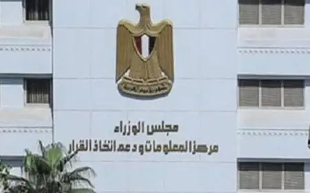 معلومات الوزراء: 25.3 مليار دولار قيمة السوق العالمية للطائرات بدون طيار خلال 2024