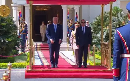 الرئيس السيسي يستقبل نظيره الألماني في قصر الاتحادية