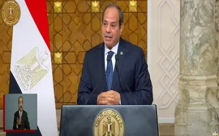 الرئيس السيسي: زيارة الرئيس الألماني لمصر إضافة كبيرة ومهمة لمسار العلاقات الثنائية