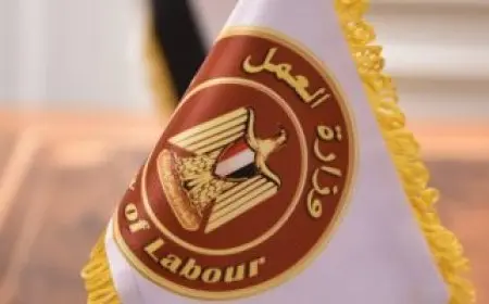 العمل: انطلاق فعاليات مبادرة سلامتك تهمنا لنشر ثقافة السلامة والصحة المهنية بجامعة المنصورة