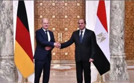 مصر تحمل عبئا في استقبال اللاجئين.. 18 رسالة للرئيس الألماني خلال المؤتمر المشترك مع السيسي
