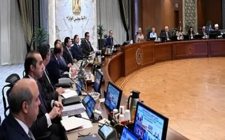 رئيس الوزراء يُصدر قرارا بتشكيل مجموعة وزارية لريادة الأعمال
