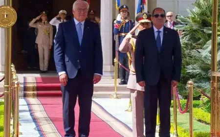 السيسي ونظيره الألماني يبحثان مختلف الموضوعات الإقليمية والدولية ذات الاهتمام المشترك