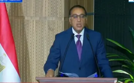 مدبولي: الاتفاق مع شركات صينية على تصنيع سيارات كهربائية وهجين في مصر