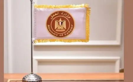 العمل: نجاح تسوية ودية لاسترداد حقوق عمال بشركتين في الإسكندرية