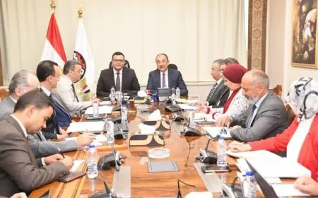 وزيرا قطاع الأعمال والإسكان يبحثان مستجدات ملفات التعاون المشترك