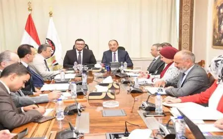 وزيرا قطاع الأعمال والإسكان يبحثان فرص التعاون في تطوير وتنمية بعض الأصول